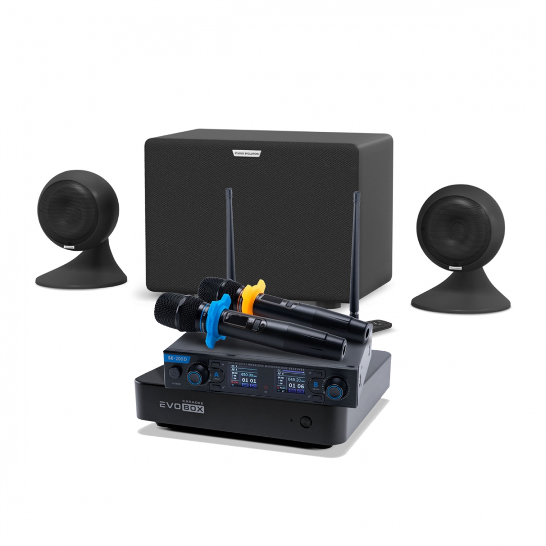 караоке-комплект EVOBOX + EvoSound Sphere 2.1 в Салехарде