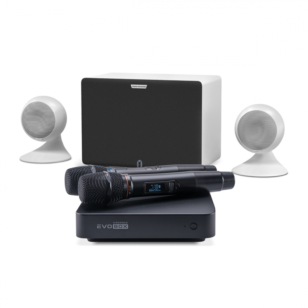 караоке-комплект EVOBOX Classic + EvoSound Sphere 2.1 в Салехарде