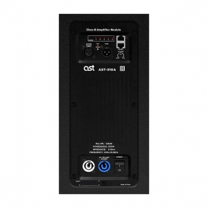 Активная акустическая система AST-310A в Салехарде