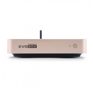 EVOBOX Plus караоке-система для дома в Салехарде
