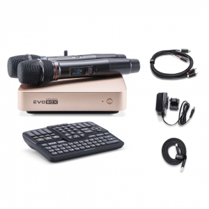EVOBOX Plus караоке-система для дома в Салехарде